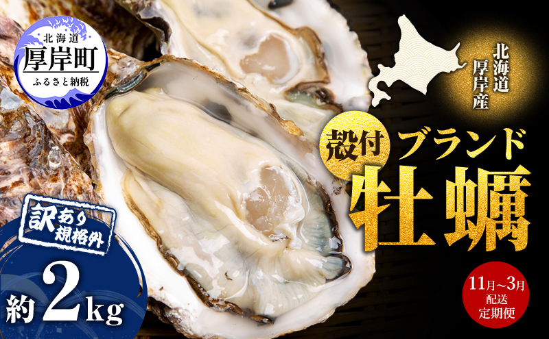 11月～3月 定期便 訳あり ハーフ 規格外 牡蠣 北海道厚岸産 殻付カキ 約2kg（11～25個）カキナイフ付 生食 魚貝類 生牡蠣 かき 生カキ カキフライ マルえもん いびつな形 四季によって違う味わい コクがあり濃厚
