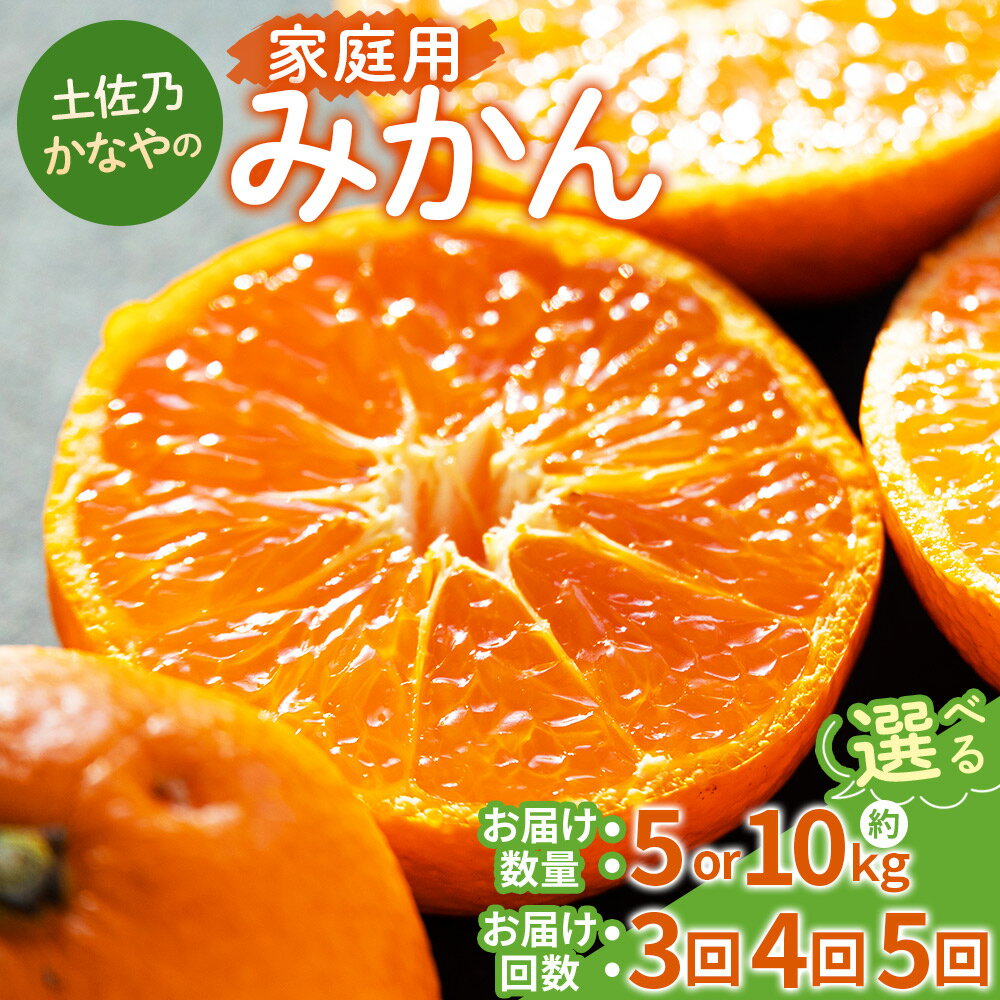 【ふるさと納税】【選べる定期便】土佐乃かなやの家庭用みかん（数量:各月5kg/10kg 定期便:3回/4回/5回） - 選べる 定期便 数量 国産 早生みかん 極早生みかん グリーンみかん 蜜柑 ミカン 柑橘 果物 くだもの フルーツ ご家庭用 ご自宅用 Benifare 高知県 香南市 【常温】