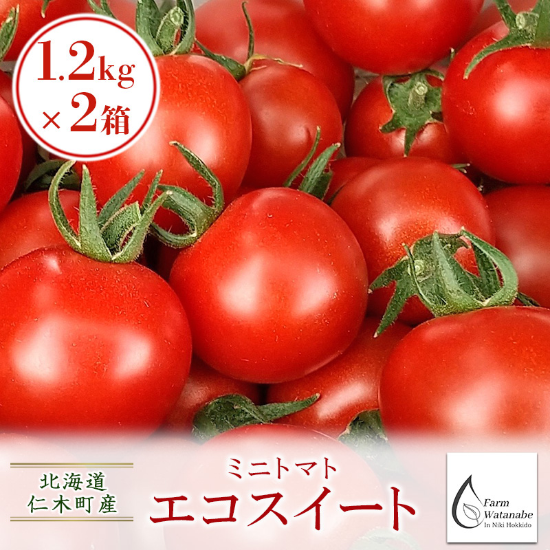 [先行受付/2025年産][栽培期間中 農薬・化学肥料不使用] 北海道 仁木町産 ミニトマト エコスイート 1.2kg×2箱 サイズ混載 トマト野菜 やさい  [Farm Watanabe]