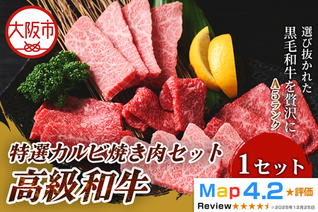 高級和牛 特選カルビ 500g 焼肉_OS266-0001