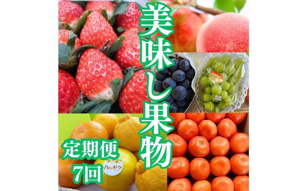 
            【定期便全7回】美味しい果物定期便　
          