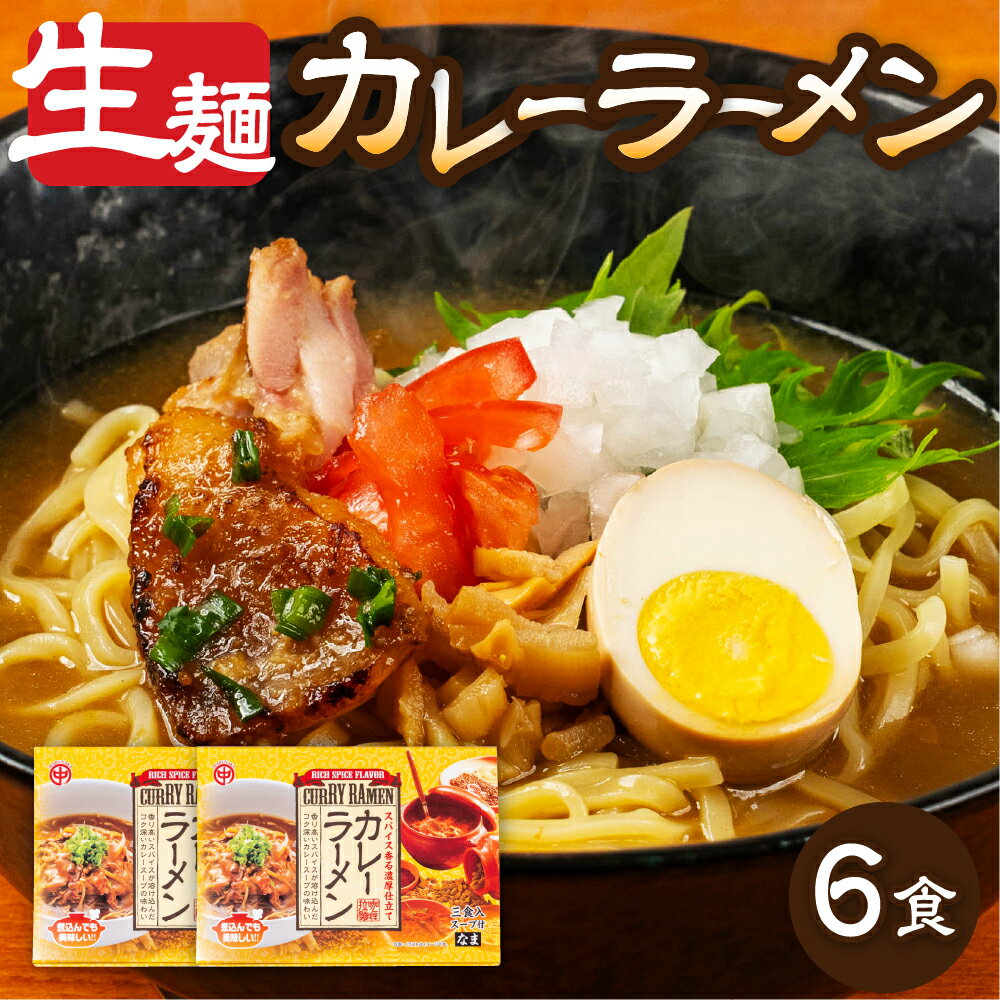 【ふるさと納税】カレーラーメン 3食（100g×3 スープ付）×2箱 計6食【丸中製麺所】ラーメン 自家製麺 飛騨 下呂市 カレー 生麺 生めん 麺 麺類 カレー らーめん