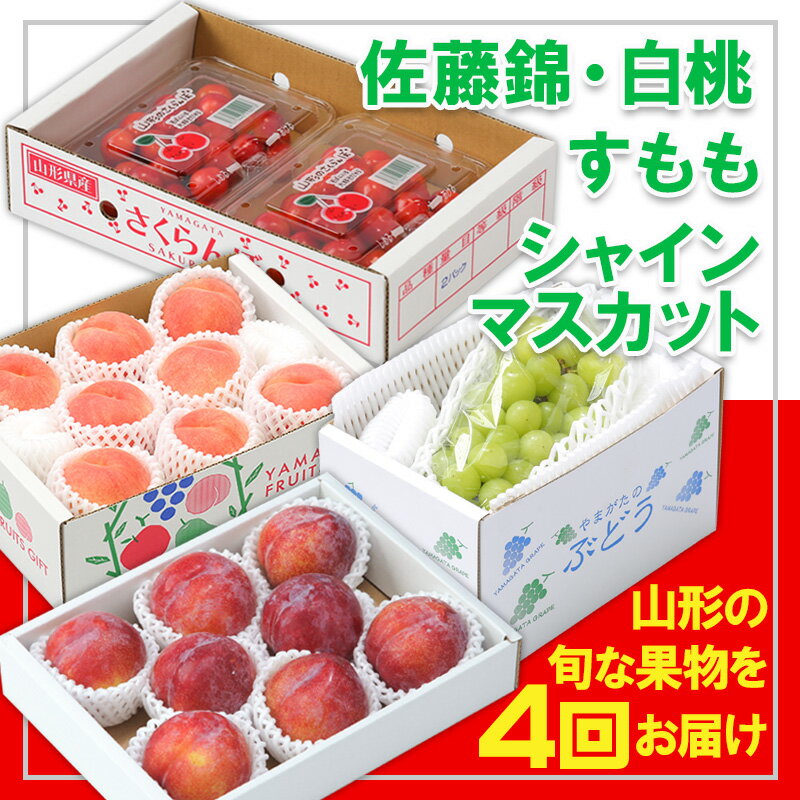 【ふるさと納税】【定期便4回】☆フルーツ王国山形☆『シャインマスカット、佐藤錦、白桃、すもも』 FY25-311