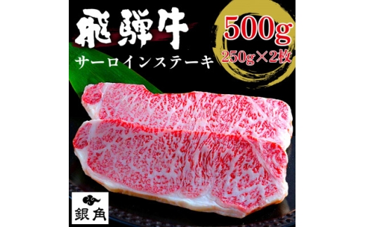 厚切り【飛騨牛】サーロインステーキ500g(250g×2枚)_牛肉 和牛 国産牛 黒毛和牛 ぎゅうにく サーロインステーキ すてーき 冷凍 お取り寄せ グルメ 冷凍牛肉 ブランド牛肉 バーベキュー【1710562】