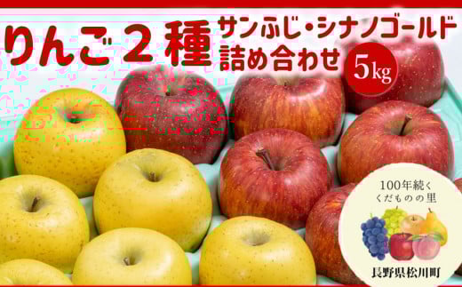 AS10-25A りんご２種詰め合わせ サンふじ・シナノゴールド（松川町産）秀品 約5kg／2025年11月中旬～下旬頃 配送予定 // 長野県 松川町 甘い 新鮮 りんご ふじ サンフジ  ゴールド