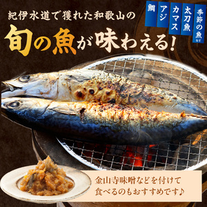 【国産】紀州特産干物詰合せ　大セット