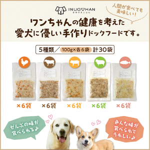 ワンちゃん用おじや15日間セット（100g）
