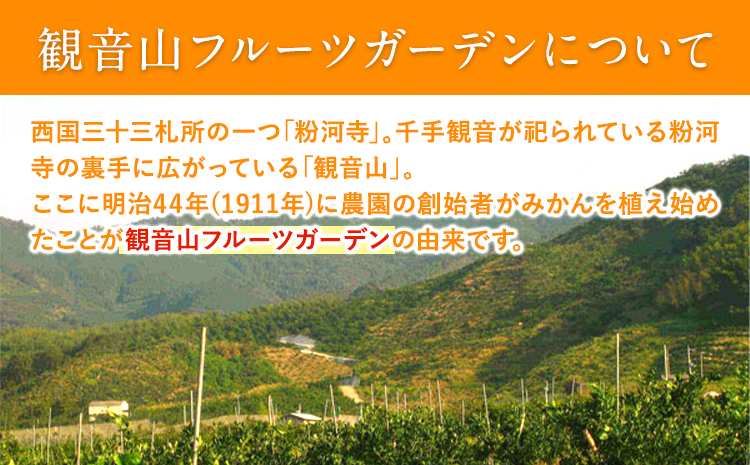 観音山みかんジュース「とろコク搾り」180ml×各5本とみかん農園サイダーのセット200ml×各5本 (計10本入) 有限会社柑香園《30日以内に出荷予定(土日祝除く)》和歌山県 紀の川市 フルーツ 