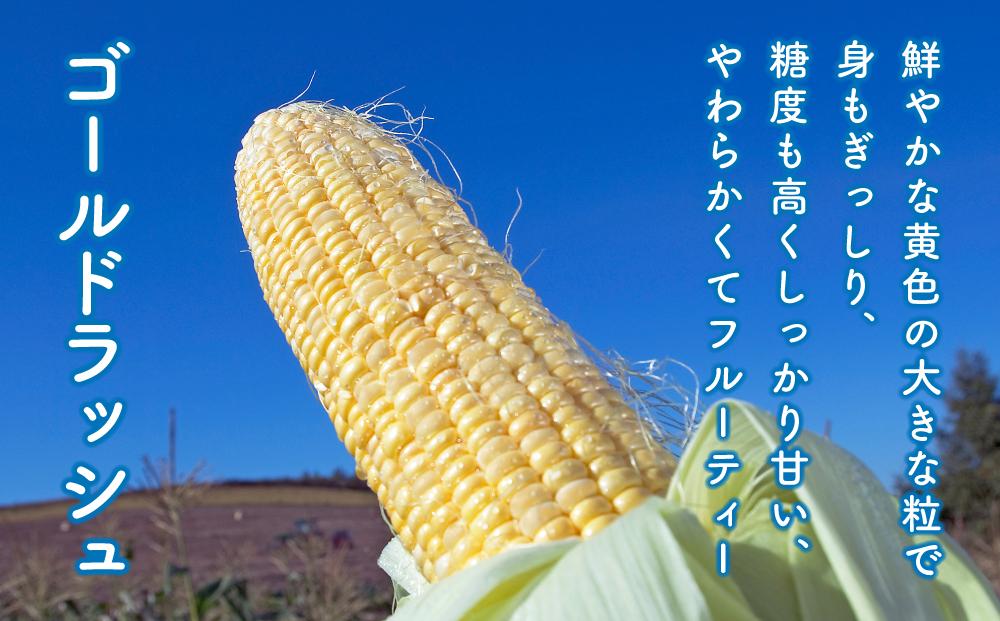 【先行予約】黄金色で大粒 ゴールドラッシュ 12本 4.8kg (2024年8月下旬〜発送開始予定)