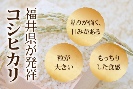 【先行予約】【3ヶ月連続お届け】【白米】令和5年度産 永平寺町産 農薬不使用・化学肥料不使用 特別栽培米 コシヒカリ 5kg×3ヶ月（計15kg）【2023年10月下旬以降順次発送開始予定】[E-03