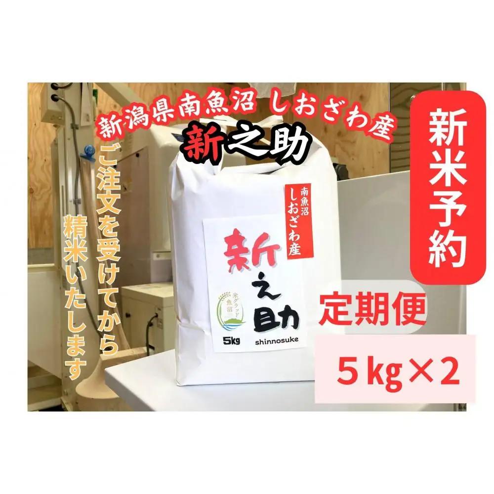 【令和8年・新米予約・定期便】新潟県南魚沼産　新之助　10kg×12か月　大粒でツヤがあるこれまでにないお米【2026年10月中旬より1ヶ月以内に順次発送予定】｜新之助