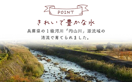 食味値が高く低農薬のコシヒカリ3kg【円山川源流域の清流で育った米】【1292676】