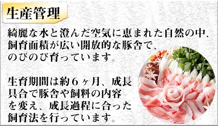 豚しゃぶ用 豚バラスライス1kg ヤマトポーク / 奈良県 豚肉 しゃぶしゃぶ バラ肉 / 豚しゃぶ