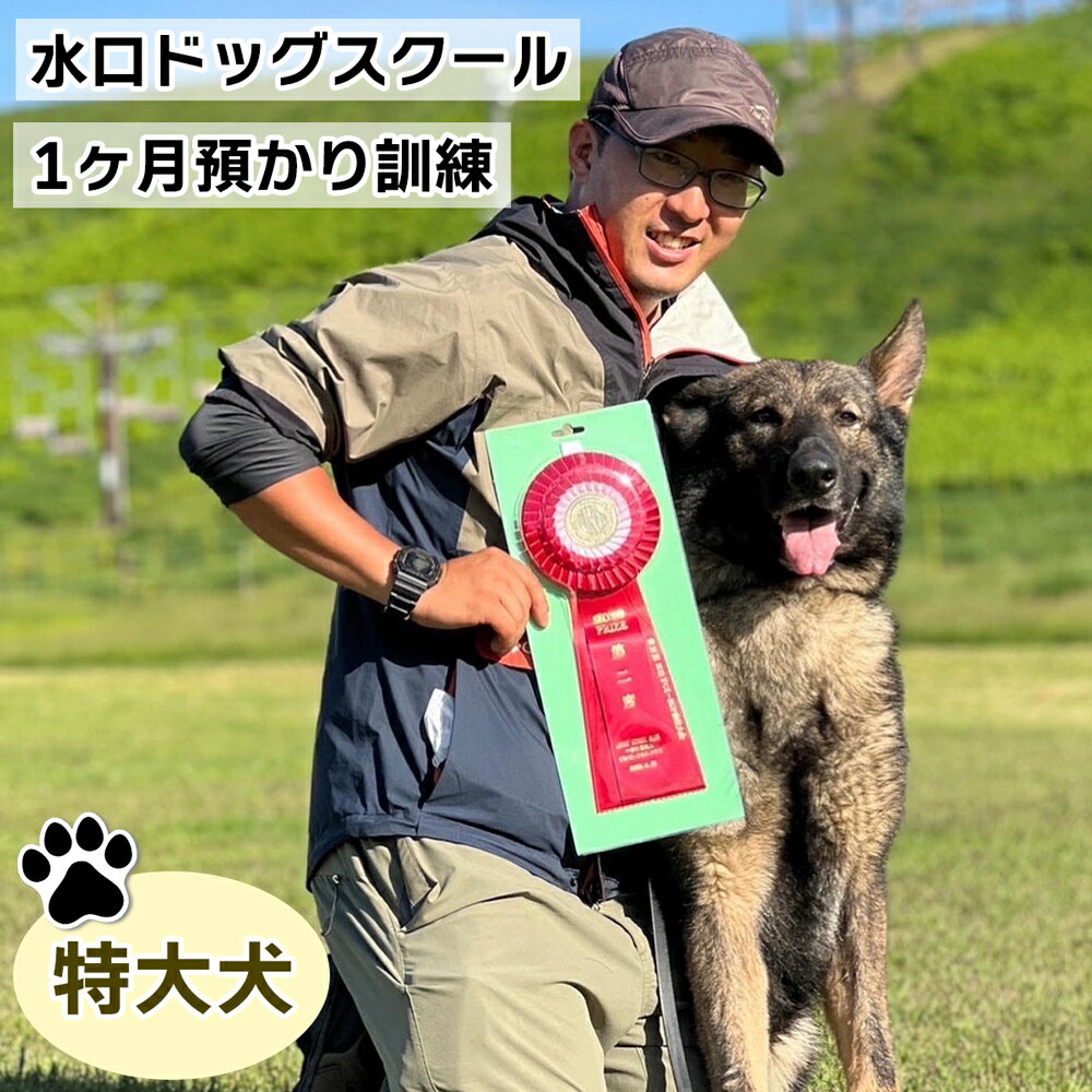 【ふるさと納税】水口ドッグスクール 1ヶ月預かり訓練 (特大犬)｜犬 しつけ レッスン トレーニング 長期 合宿 お泊り 競技 飼い主 印西 千葉 [0505]