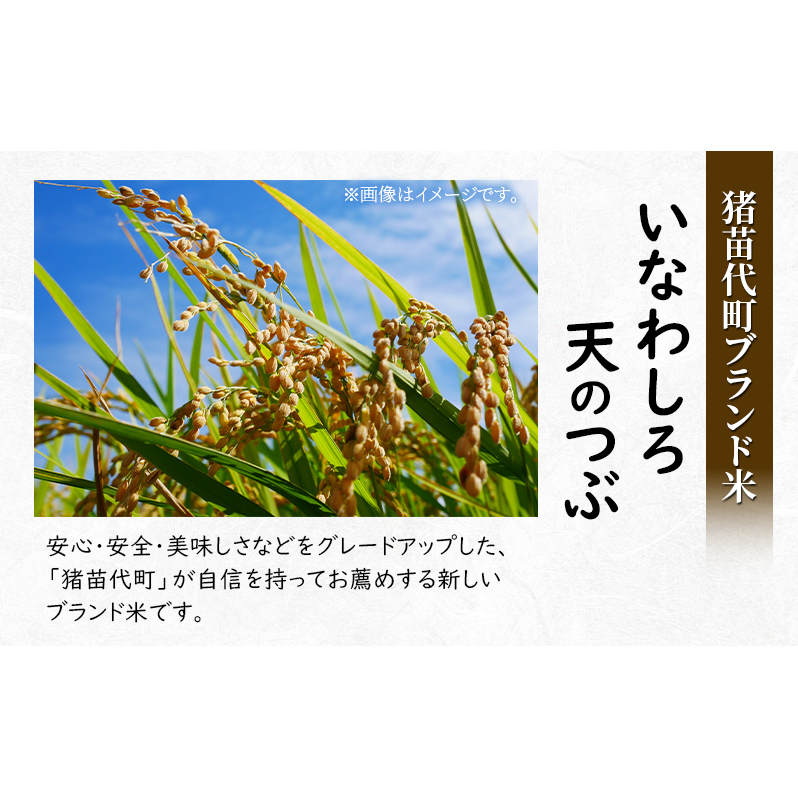 新米　猪苗代町ブランド米 いなわしろ天のつぶ( 精米 ) 20kg お米 白米 福島 大粒 寿司 和食_イメージ3