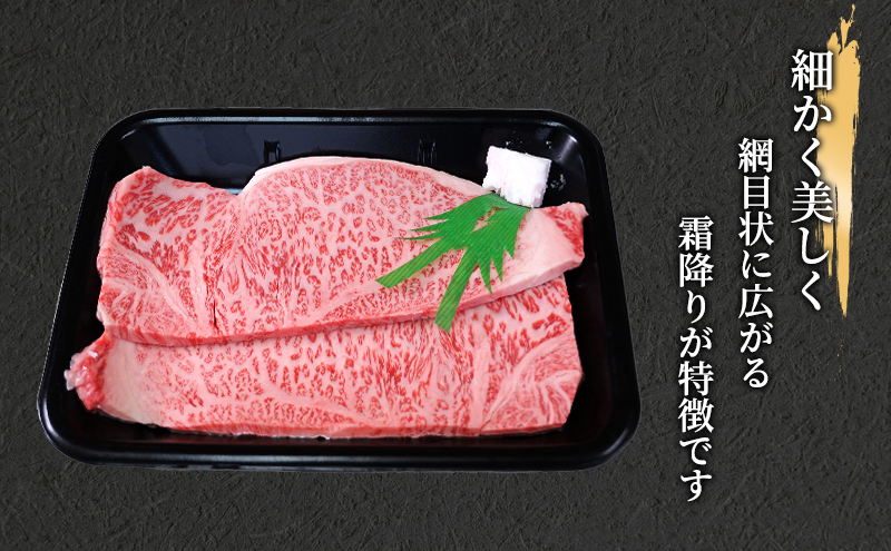 飛騨牛 牛肉 肉 ステーキ サーロイン 600g 200g×3枚 A5 和牛 【岐阜県瑞穂市】 ※離島への配送不可
