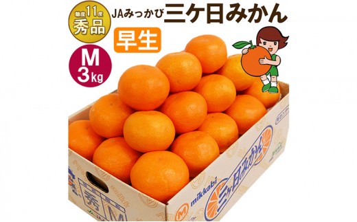 
                  三ケ日みかん 早生【秀品】Mサイズ3kg(27個前後) ミカン 果物 くだもの フルーツ 甘い 静岡県 浜松市 果物類 柑橘類 
                