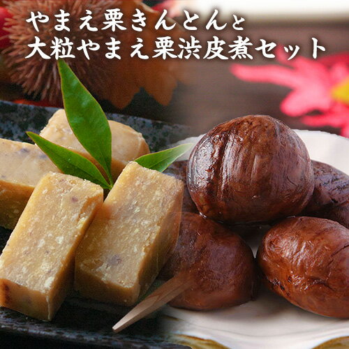 【ふるさと納税】熊本県山江村産 やまえ栗きんとん4本と大粒やまえ栗渋皮煮3個セット 有限会社 和 山江 くまもと やまえ やまえ堂 やまえ栗 おせち 和菓子 スイーツ 栗 くり おかし お菓子 手土産 くりきんとん 渋皮煮 《60日以内に出荷予定(土日祝除く)》