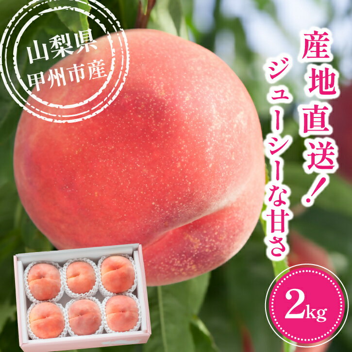【ふるさと納税】 桃 約2kg 5玉～8玉 果物 もも 甲州市産 果実 旬 朝採れ フルーツ 朝もぎ 光センサー選果 大藤の桃 くだもの ジューシー 新鮮 化粧箱入 贈答 ギフト お中元 冷蔵 山梨 期間限定 数量限定 家庭用 盛り合わせ 7月上旬より発送 (VYD) 【B12-810】
