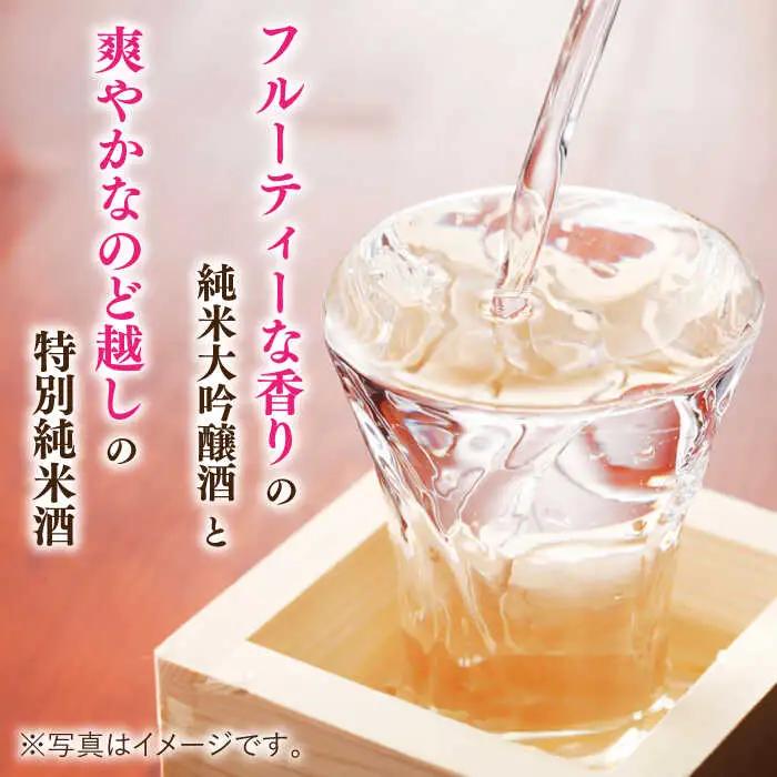 天吹 2種類飲み比べ 720ml×2本 / 佐賀県 / 天吹酒造合資会社 [41ANCX002]