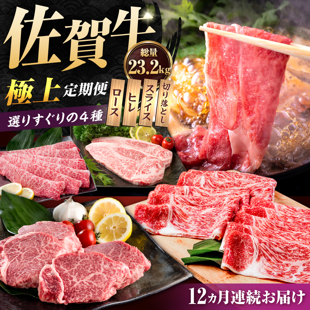 【肉のプロが厳選！】【全12回】佐賀牛 極上 定期便【株式会社いろは精肉店】 [IAG079]