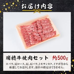 焼肉 セット 約500g 国産 牛肉 【焼肉】 【ho0858】