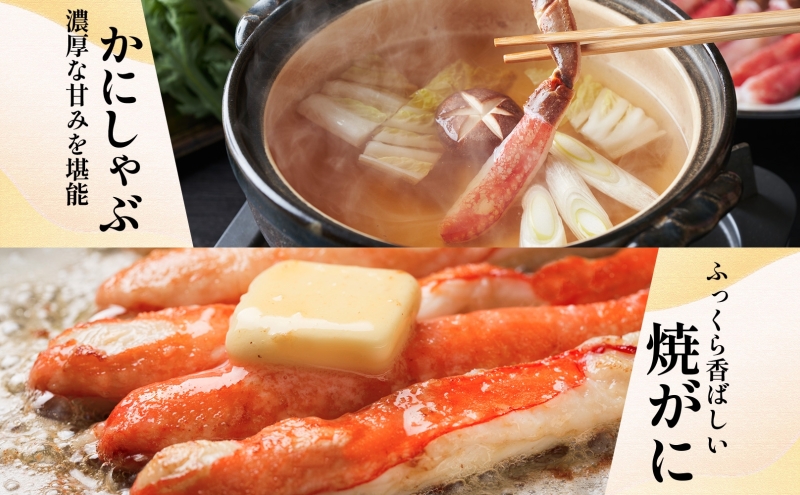 【北国からの贈り物】本ズワイガニ ポーション 1.5kg前後 生食可 蟹酢付 約 6-9人前 昆布塩加工 しゃぶしゃぶ 訳あり かに カニ ズワイガニ 脚 ズワイ蟹 ずわい蟹 ずわいがに むき身 生食
