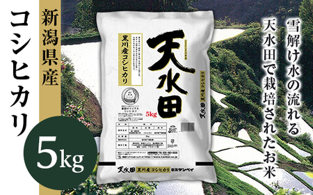 27-51E新潟県黒川産コシヒカリ5kg【天水田】