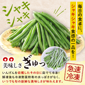  冷凍野菜 いんげん 300g×3袋 インゲン 北海道 芽室町 