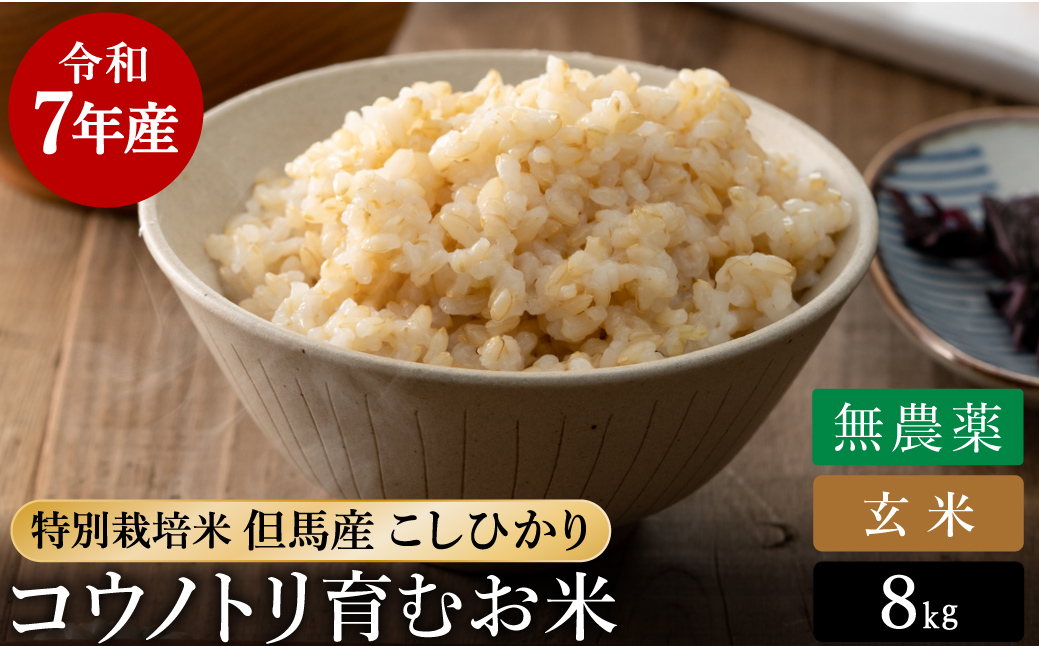 令和7年産 無農薬 玄米 8kg コウノトリ育むお米 但馬産 こしひかり 兵庫県産 (2kg×4袋) 無農薬 お米 8キロ 玄米 コウノトリ米 コシヒカリ 農薬不使用 特別栽培米 予約 コメ こめ ご飯 ライス 無農薬米