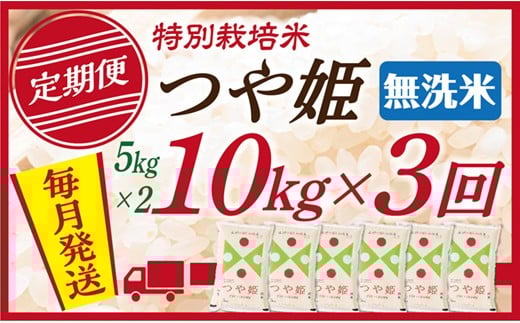 【定期便】【無洗米】 令和7年産 山形県産 つや姫 10kg (5kg×2)  3回配送
