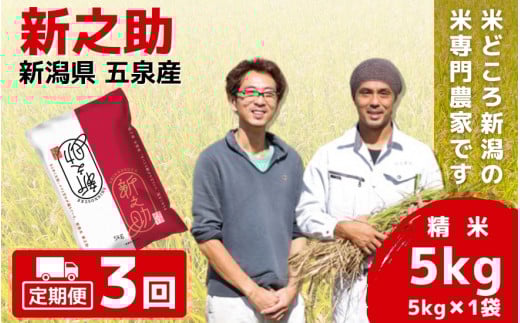令和7年産 新米 【 定期便 3ヶ月 】 米 5kg × 3回 五泉産 新之助 | 白米 精米 しんのすけ お米 おこめ コメ こめ おすすめ 人気 新潟県 五泉市 わくわく農場