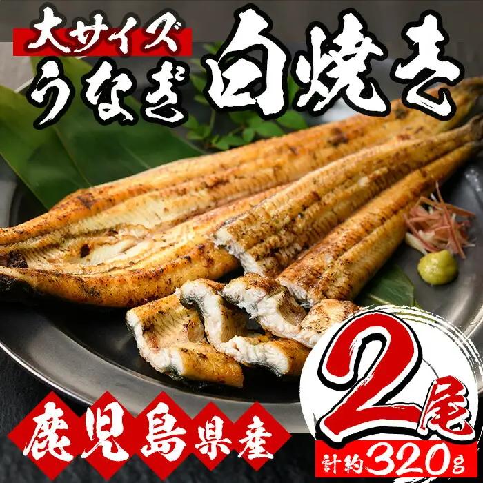 鹿児島県産 うなぎ白焼 2尾 うなぎ【00-025-15】