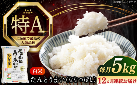 【全12回定期便】【令和7年産】ななつぼし [たんとう米] 5kg 米 定期便 1年 12ヵ月 お米 白米 ご飯 ななつぼし 北海道 [AXAB020]