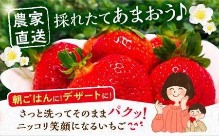 【先行予約】【2月-3月発送】農家直送 あまおう 厳選デラックス G 1080g (270g以上 × 4 パック) 土耕栽培 《豊前市》【内藤農園】果物 いちご[VAB001] 贈答あまおう あまおう