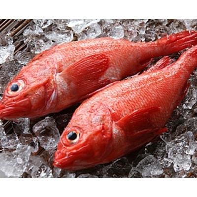 ふるさと納税 様似町 【特大】きんき(めんめ、吉次)約420g×2枚