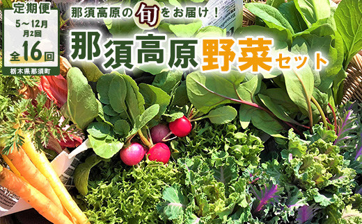
            【定期便】那須ブランド 那須高原野菜セット（月2回／5月～12月／全16回）｜野菜 お野菜 新鮮 詰め合わせ やさい みずみずしい 美味しい 自然 栃木県 那須町〔P-66〕
※北海道・沖縄・離島への配送不可
※2025年5月より順次発送予定
          