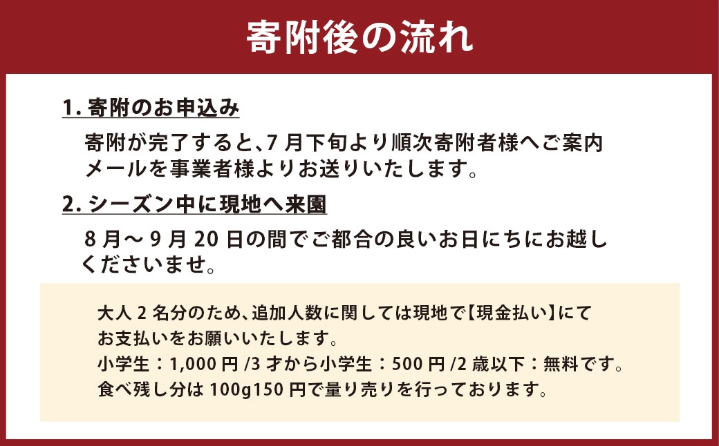 ぶどう狩り体験チケット （ 大人2名様分 ） お土産付き 【2026年8月5日までお申込み可】 【2026年7月下旬～8月下旬ご案内予定】 収穫 試食 自然 家族連れ 観光 体験チケット 体験 経験 