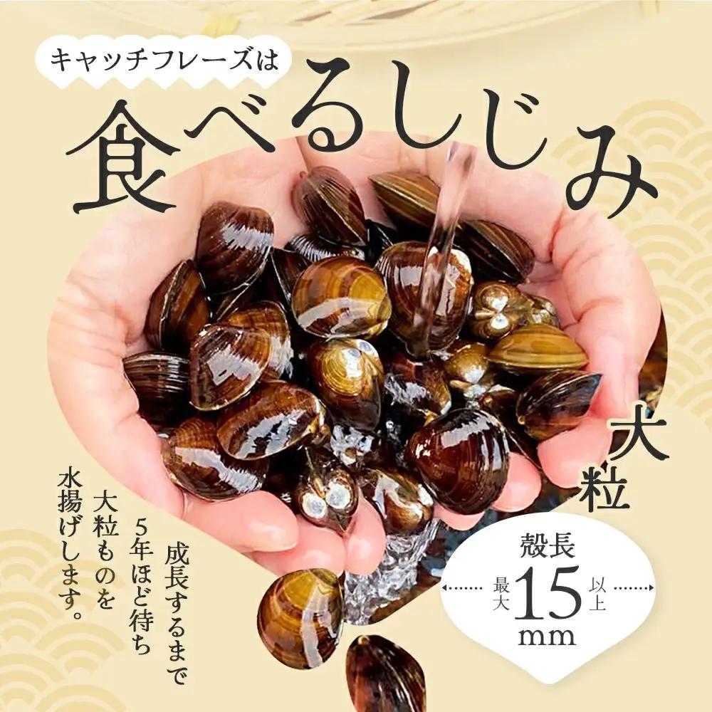 砂抜き済みで手間いらず！冷凍・小川原湖産大和しじみ1kg（500g×2袋）　【02408-0158】