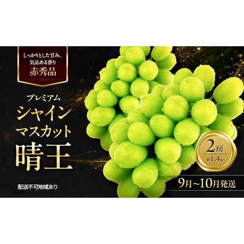 ぶどう 2026年 先行予約 赤秀ぶどう プレミアム シャインマスカット 晴王 2房 1.4kg 9月～10月発送  岡山県産 シャインマスカット