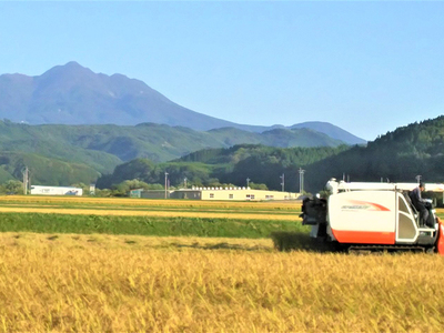 まっしぐら 玄米 令和8年産 山下農園 青森県産 まっしぐら【10kg 5kg×2袋】