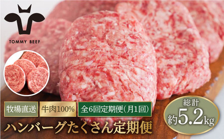 【6回定期便】家族に優しい！ハンバーグ＆ロールステーキ定期便 / 佐賀 牛 ハンバーグ 牛肉100% ステーキ 国産 九州 [IAH028]