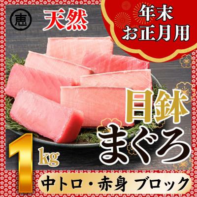 ふるさと納税 三浦市 【年末・お正月】天然目鉢まぐろ お祝い満ぷくセット 中トロ赤身1kgブロック 三崎恵水産