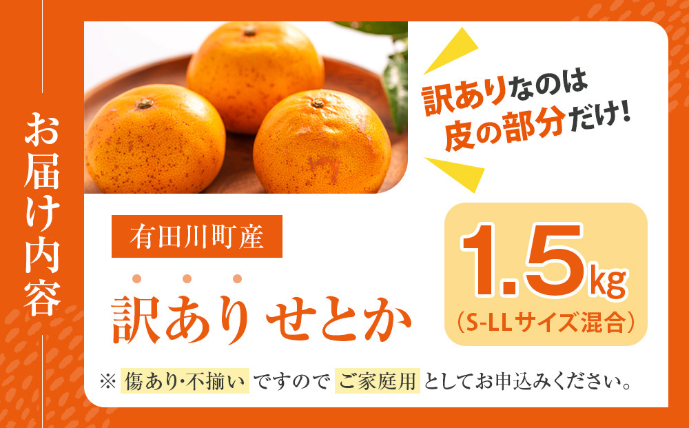 みかん の大トロ せとか 1500g 訳あり ブランド 和歌山 有田みかん 農家直送 オレンジ フルーツ 果物