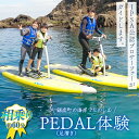 【ふるさと納税】PEDAL（足漕ぎ）SUP体験（約60分） F22X-088