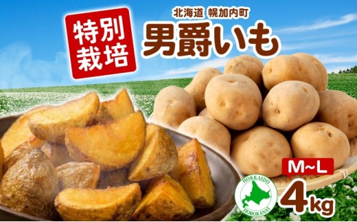 
                  ＜2026年秋以降出荷＞ 北海道 じゃがいも 男爵 M～L 約4kg 特別栽培 ジャガイモ 馬鈴薯 だんしゃく 芋 いも イモ ポテト 野菜 農作物 国産 ホクホク 甘い  お取り寄せ 産地直送 北海道産 畑農場 送料無料 幌加内
                