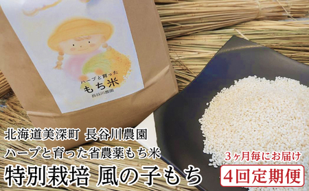 もち米特別栽培風の子もち長谷川農園 北海道産 もち米【5kg】【定期便4回】【先行予約】
