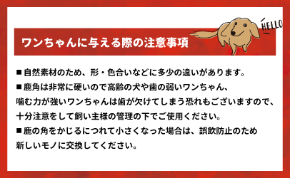 犬用「鹿の角」Ｌサイズ×1本[53-1349]