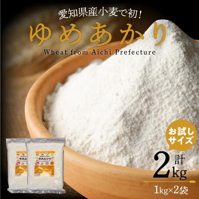 （お試し）【小麦粉】愛知県産 ゆめあかり 国産 パン用 強力粉 1kg×2袋（計2kg） H008-297