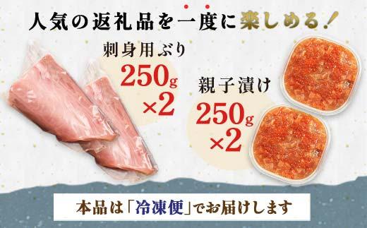 【2024年12月発送】【先行予約】親子漬け・ぶり刺身セット1kg（各250g×2）小分け いくら イクラ 秋鮭 さけ サケ 醤油漬け しょうゆ漬け ブリ 鰤 北海道 国産 羅臼 海鮮 魚介 ご飯のお